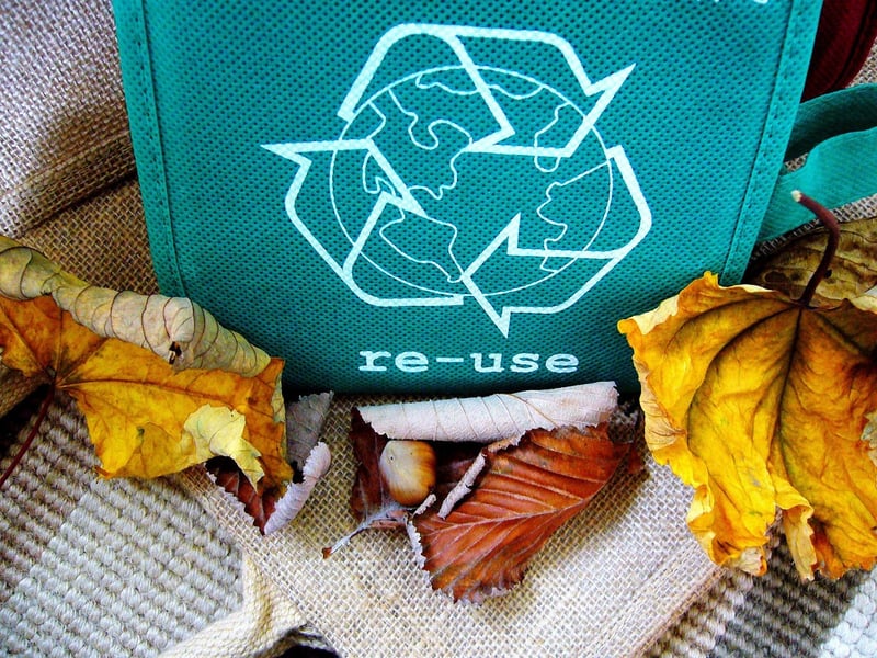 Eco-Friendly Bags